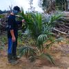 petani546