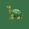 turtle_is_back3