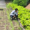 nyine.chan.thu60