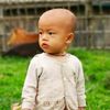 moos4238
