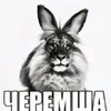 user65778881555862