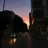 nty._1016