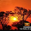 beasthorizonsafariuganda