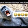 malingkundang236