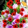nguyn.xuyn5681
