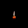 chandrima906