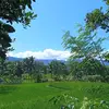 julieaa1709
