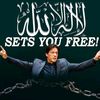 muhammad.abid5660