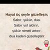 quenni_00