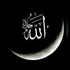 my.love.allah664