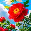 raihan.islam7551