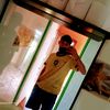 gallito50330