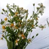 ttmcch_0105