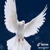 user54203081709220