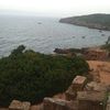 larbi.aicha75