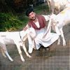 Sohail bari goat farm Ranipur
