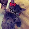 naosei_oqueporaki