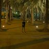 ali.haitham267