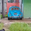 elreypolito2212