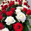 user560798601