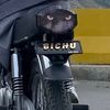 bichu297.bike.love