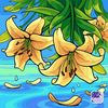 nooraymenald4