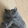 kirillxst