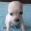 pornodepituf0