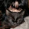 jenny_24382