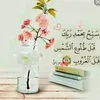user5240270273980