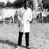 cheikh.mbengue013