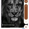 abdul.rehmam858