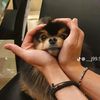 min_park_jaris_