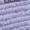 mohammedalsaad303
