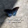 al._jazia6