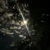 bay_harbour_butcher06