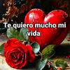 yojanita9051