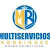 multi.servicios.r
