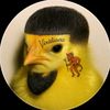luis2222244