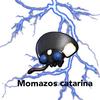 momazos_catarina