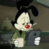 zazu_cat_in2025