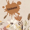 shihana.30