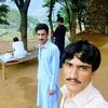 haya.gull20