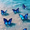 shaima.jamal20
