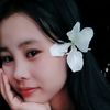 naychi.shoonlatt