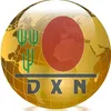 .dxn894