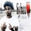 sybau_pls123456