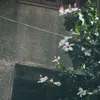 iee_ky