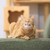 meawwww120