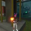 usernaufal1231
